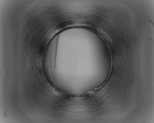 X0000097671177200803281006