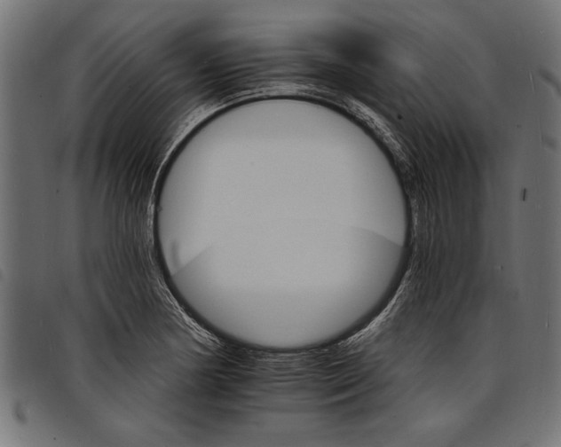 X0000097671178200803281006