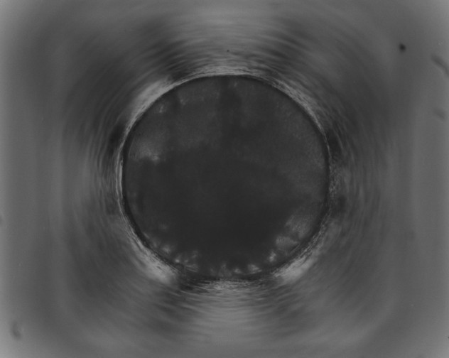 X0000097671179200803281006