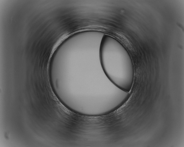 X0000097671180200803281006