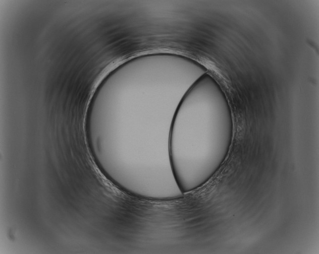 X0000097671181200803281006