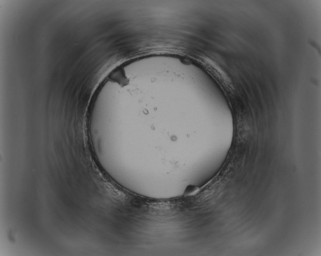 X0000097671182200803281006