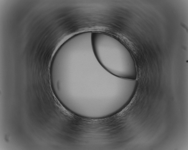 X0000097671184200803281006