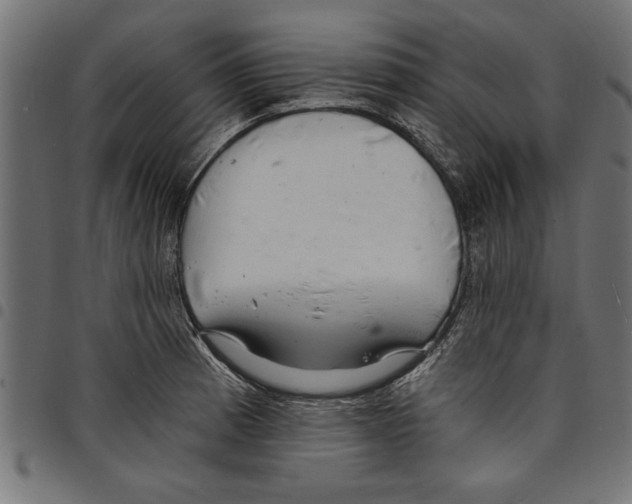 X0000097671185200803281006