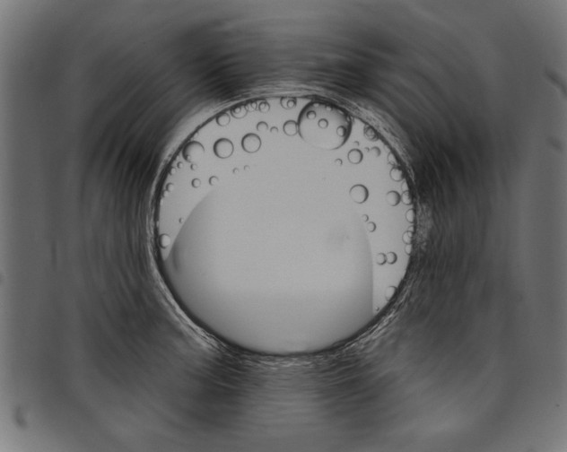 X0000097671187200803281006