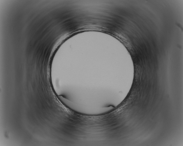 X0000097671188200803281006