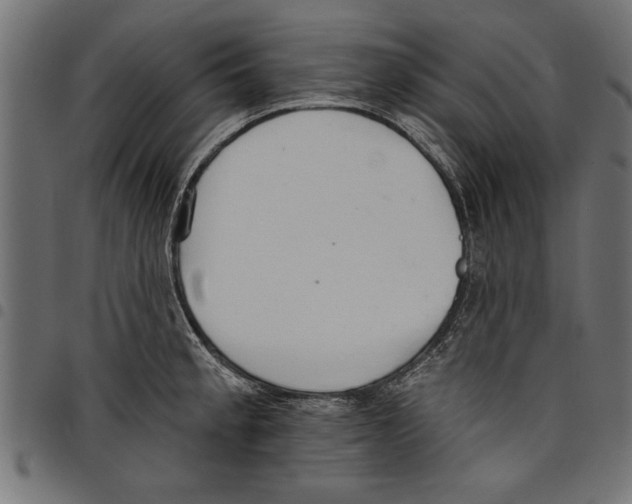 X0000097671189200803281006