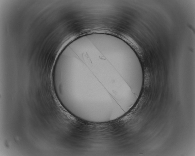 X0000097671190200803281006