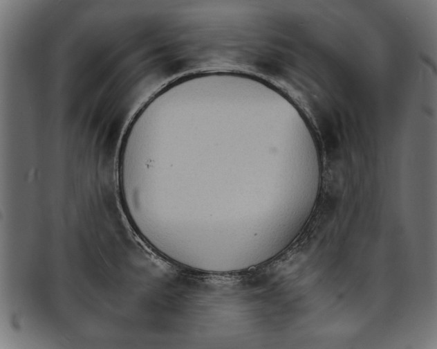X0000097671191200803281006