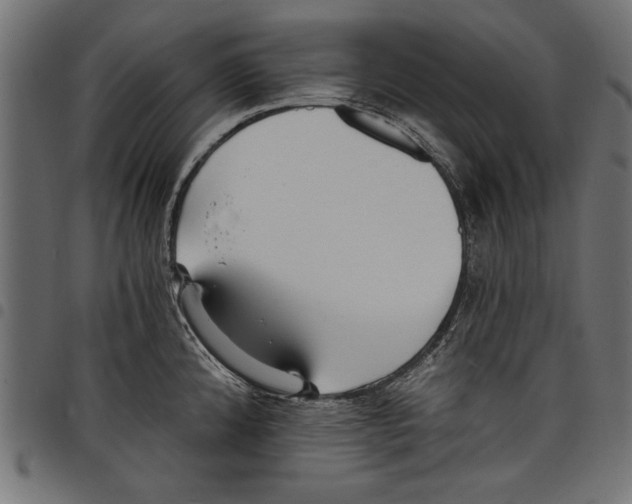 X0000097671192200803281006