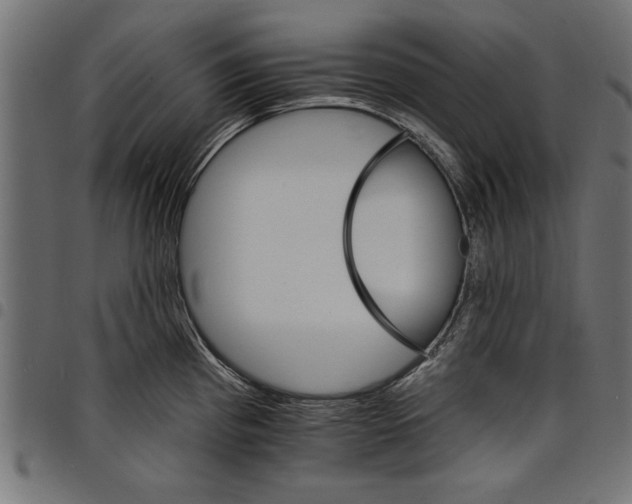 X0000097671193200803281006