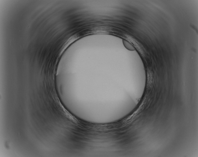 X0000097671194200803281006