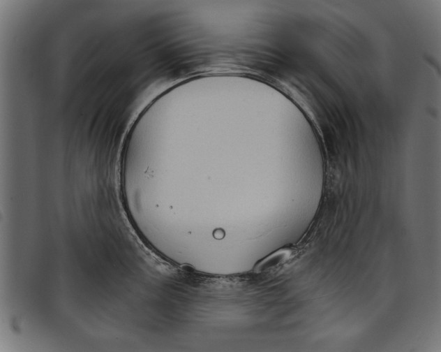 X0000097671195200803281006