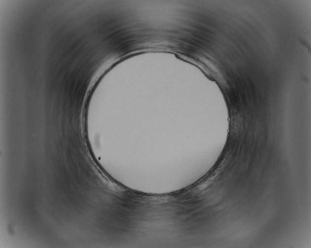 X0000097671196200803281006
