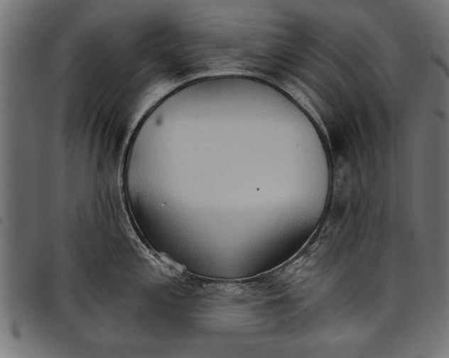 X0000097671197200803281006