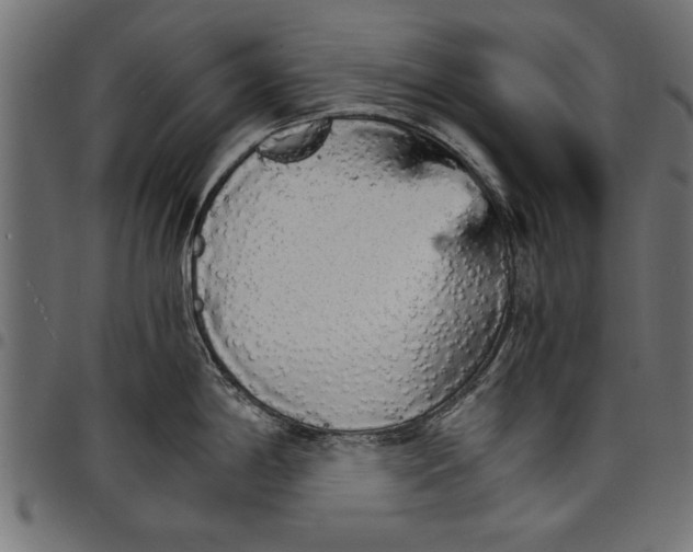 X0000097671198200803281006