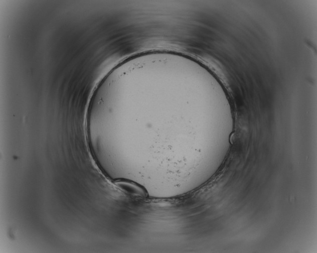 X0000097671199200803281006
