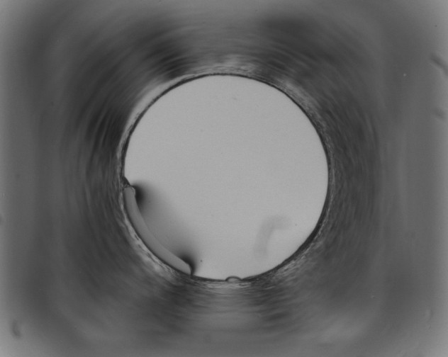 X0000097671200200803281006