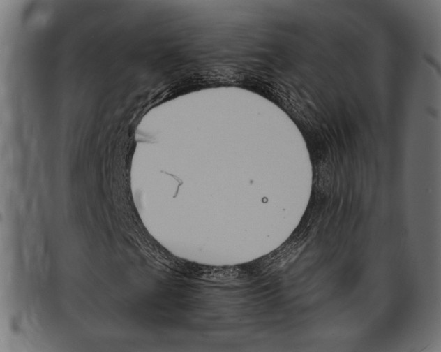 X0000097671201200803281005