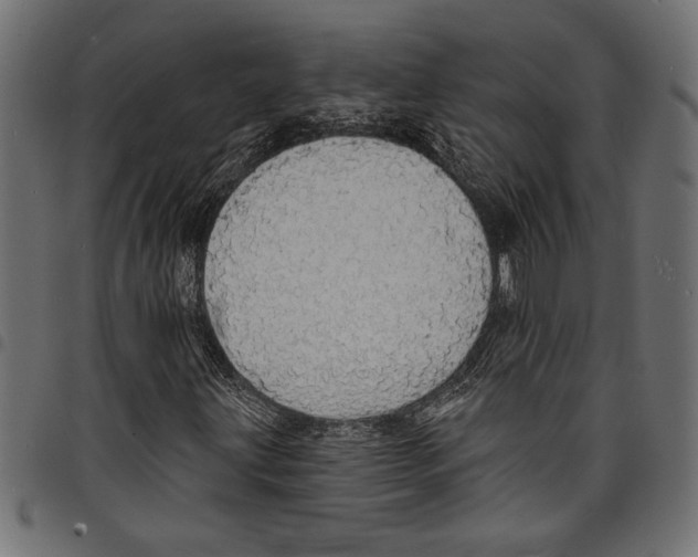 X0000097671203200803281005