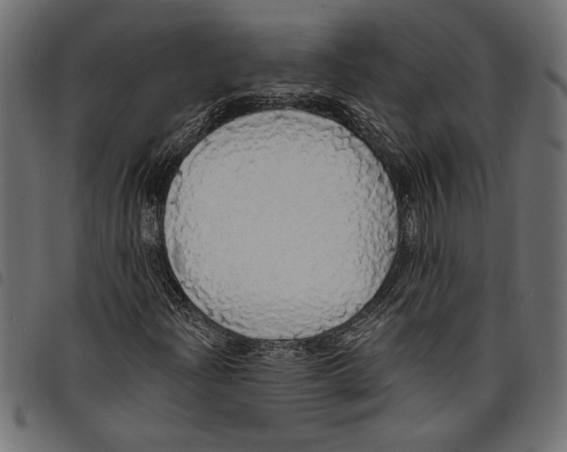 X0000097671204200803281005