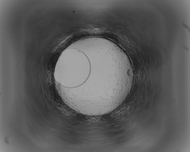 X0000097671205200803281005