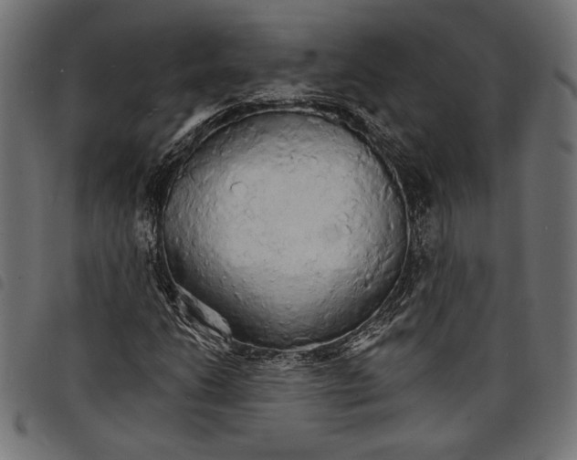 X0000097671206200803281005