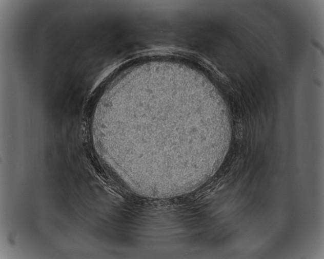 X0000097671208200803281005
