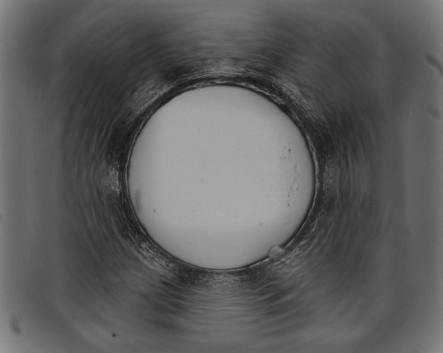 X0000097671209200803281005