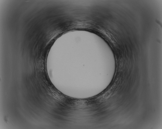 X0000097671211200803281005