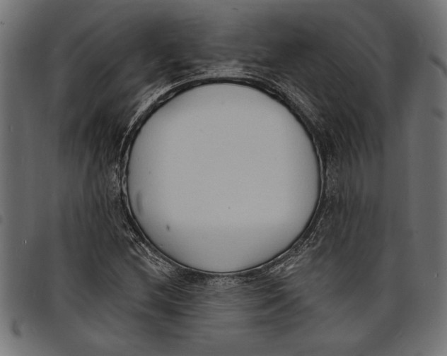 X0000097671212200803281005