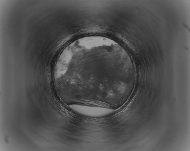 X0000097671213200803281005