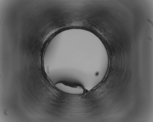 X0000097671214200803281005
