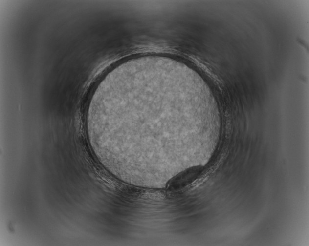 X0000097671215200803281005