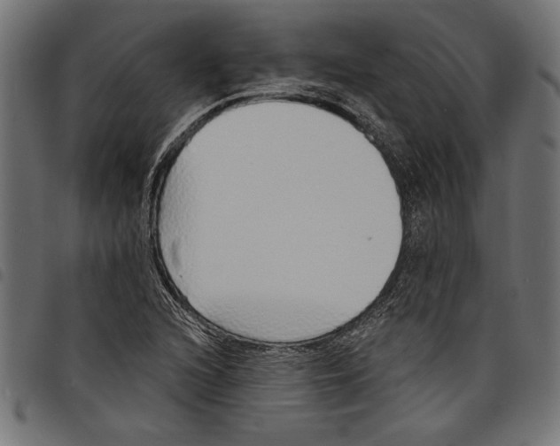 X0000097671216200803281005