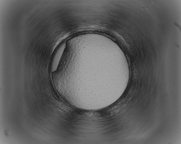 X0000097671218200803281005