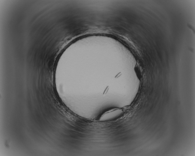 X0000097671220200803281005