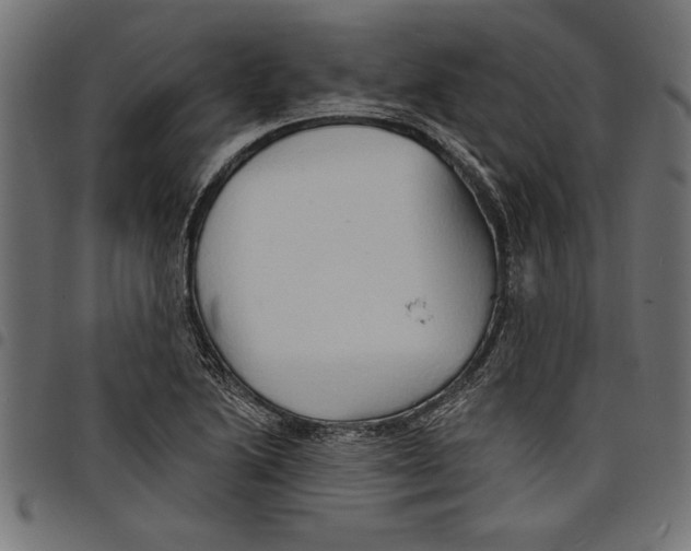 X0000097671222200803281005