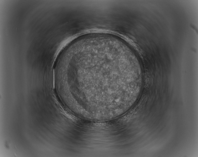 X0000097671223200803281005