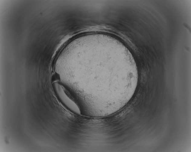 X0000097671224200803281005