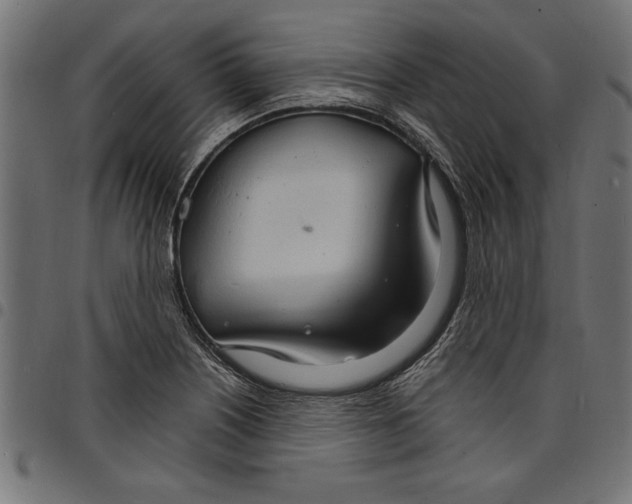 X0000097671226200803281005