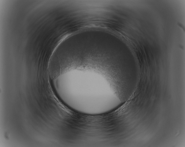 X0000097671227200803281005