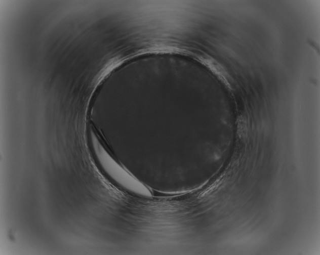 X0000097671229200803281005
