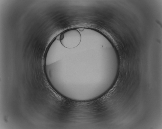 X0000097671230200803281005