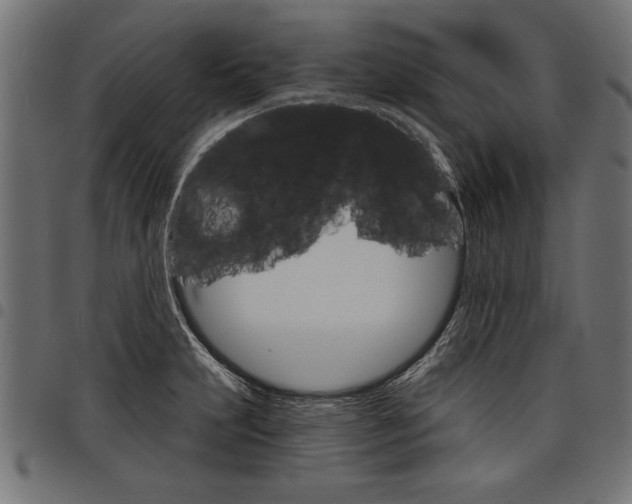 X0000097671231200803281006