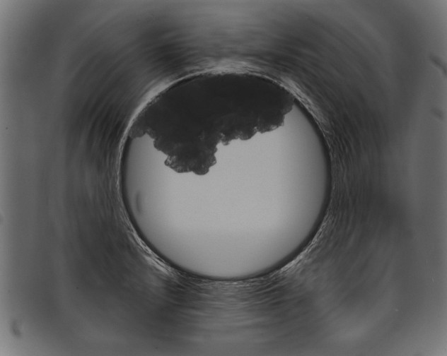 X0000097671232200803281006