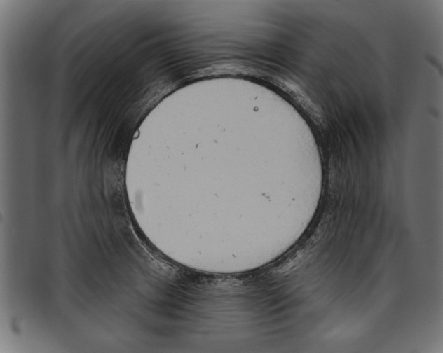X0000097671233200803281006