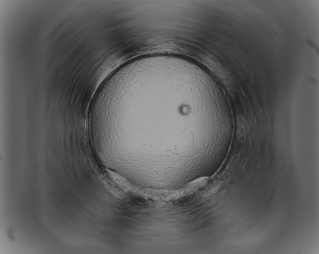 X0000097671234200803281006
