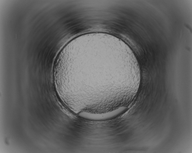 X0000097671236200803281006