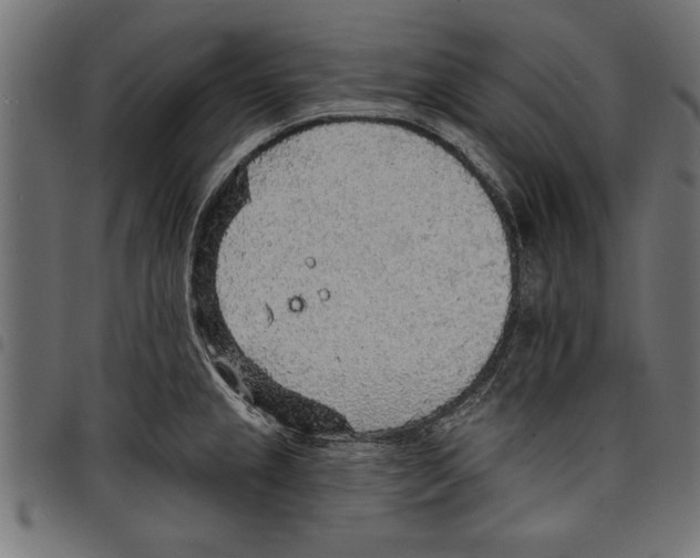 X0000097671237200803281006